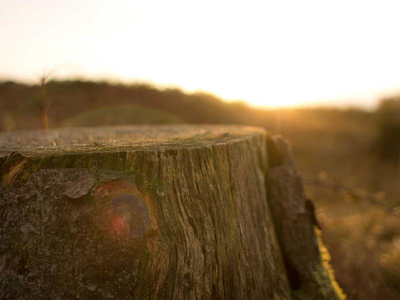 LicenLorPako Mérida 2